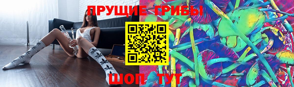 как найти наркотики  Вход с VPN  Михайловск  Галлюциногенные грибы мицелий 