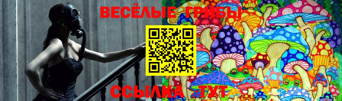 Псилоцибиновые грибы прущие грибы Михайловск